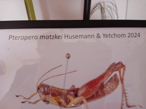 IMG_20241026_161355
